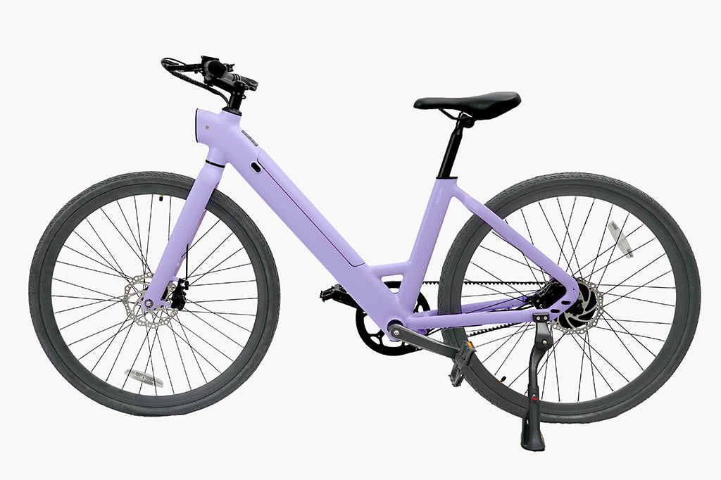 FD FDS1S Step-thru City Electric Bike