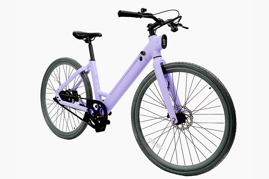 FD FDS1S Step-thru City Electric Bike
