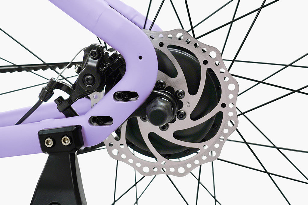 FD FDS1S Step-thru City Electric Bike